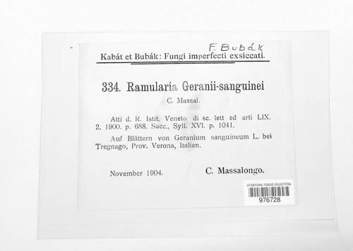 Ramularia geranii-sanguinei image